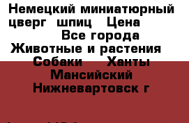 Немецкий миниатюрный(цверг) шпиц › Цена ­ 50 000 - Все города Животные и растения » Собаки   . Ханты-Мансийский,Нижневартовск г.